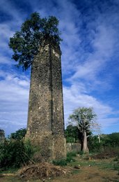 Arbre;-Archipel-des-Comores;-Briques;-Cheminée;-France;-Kaleidos;-Kaleidos-images;-La-parole-à-limage;-Laurent-Abad;-Mayotte;-Océan-Indien;-Patrimoine-industriel;-Ruines;-Stories-Pictures;-Sucrerie